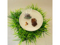 Black chocolate praline rock Black chocolate praline rock