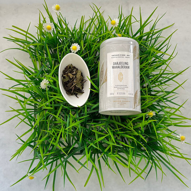 Darjeeling Mahalderam Darjeeling Mahalderam